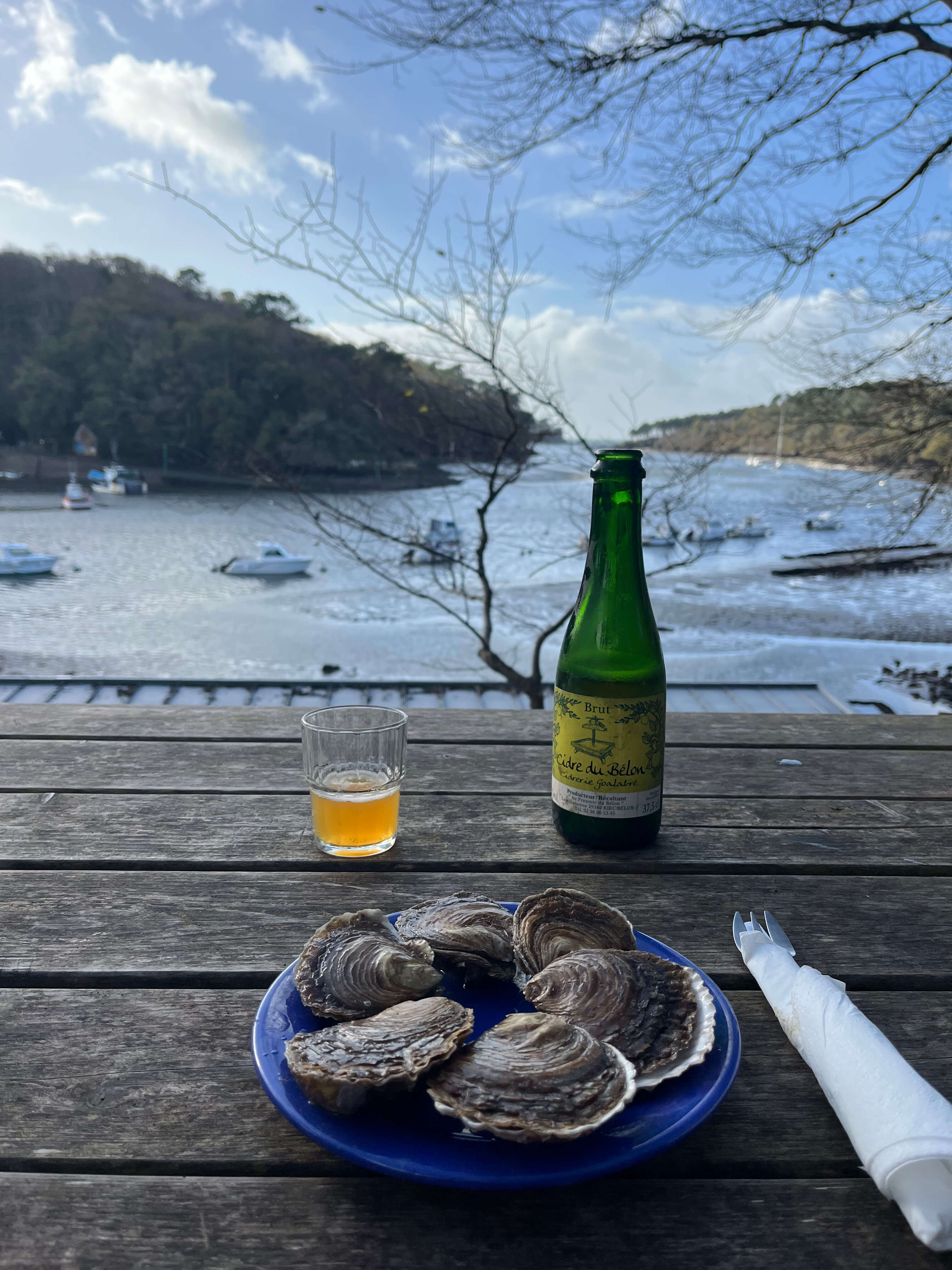 Seabass fly fishing Brittany France waters