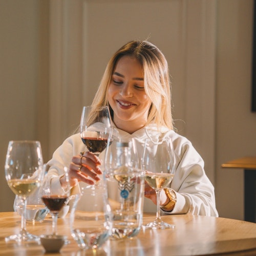 Escola de Vinhos WOW