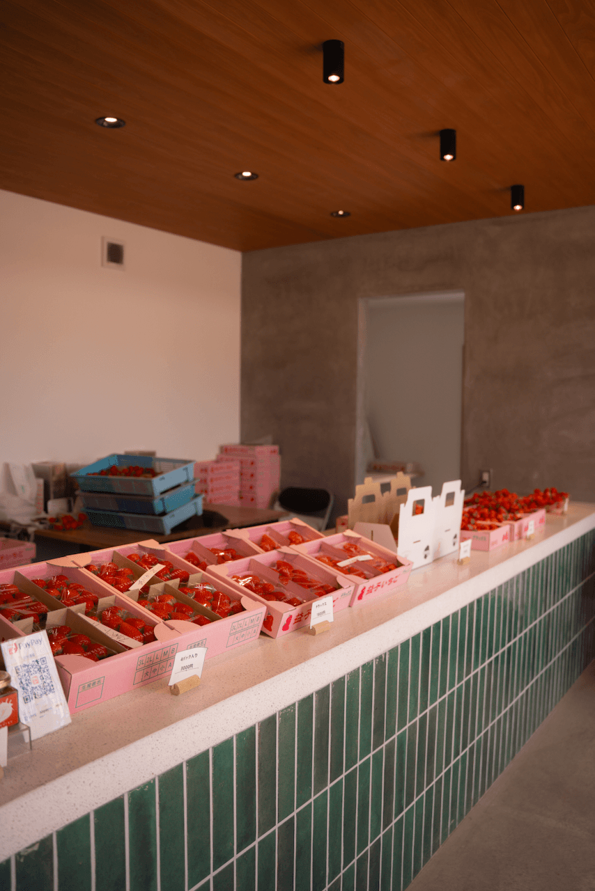 Strawberries available for purchase inside Yoshimura Strawberry Park