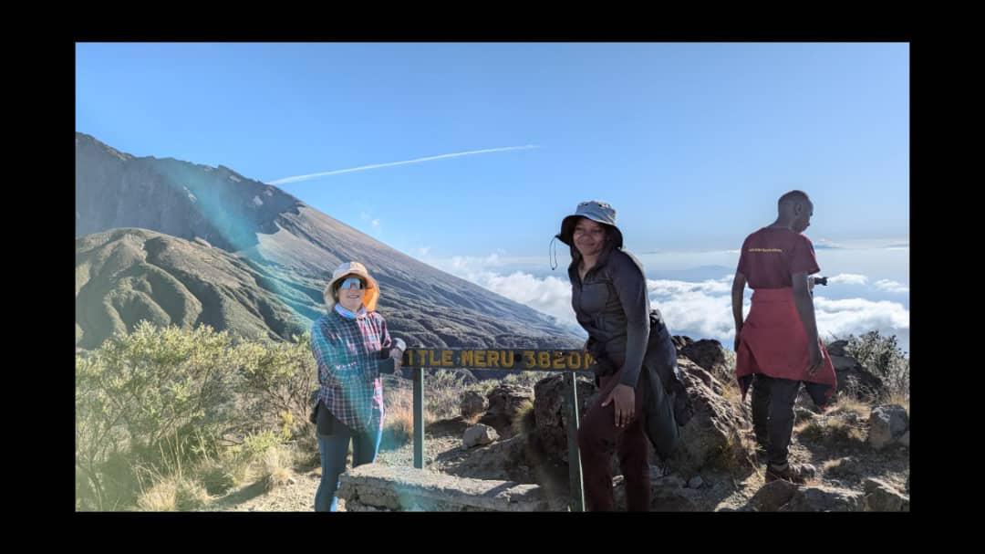 Lone acacia tree standing in the middle of AlUla’s desert plain beneath a soft blue sky.
