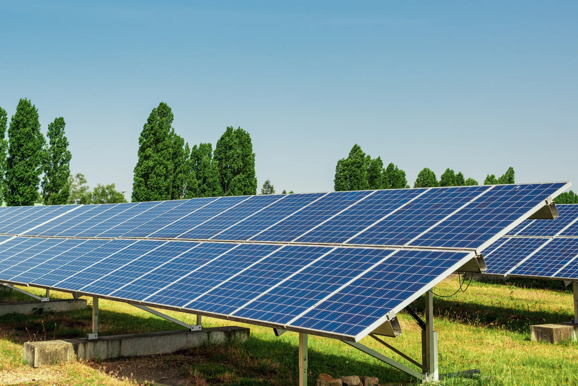 Photovoltaikmodule auf einer freien Fläche.