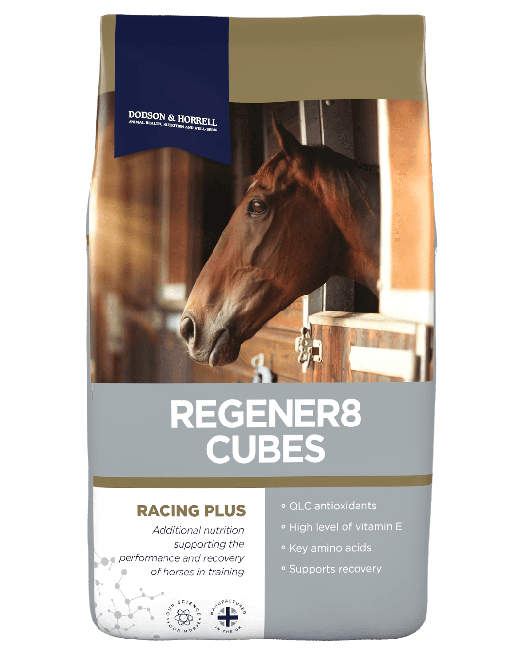 brown horse with silver round pendant necklace