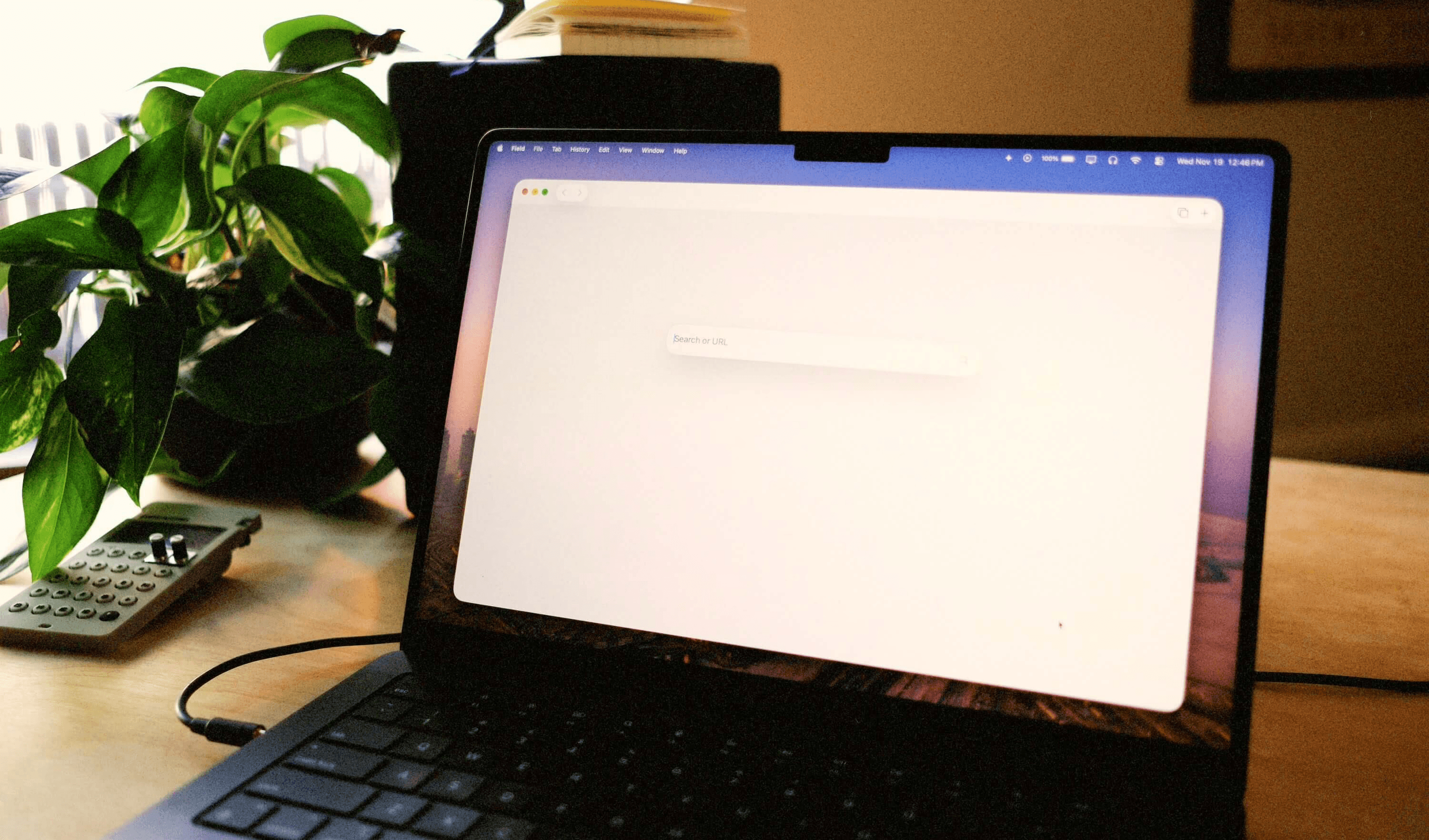 Computer running the Field browser.