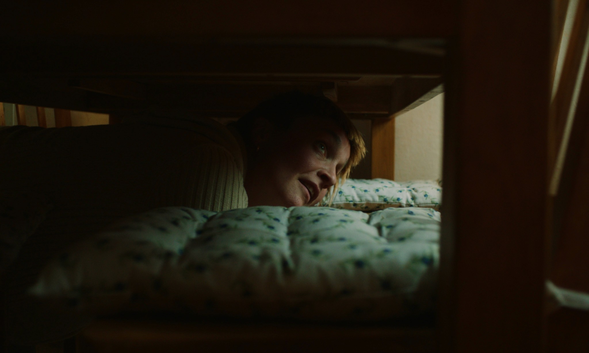 Magnetic repel image