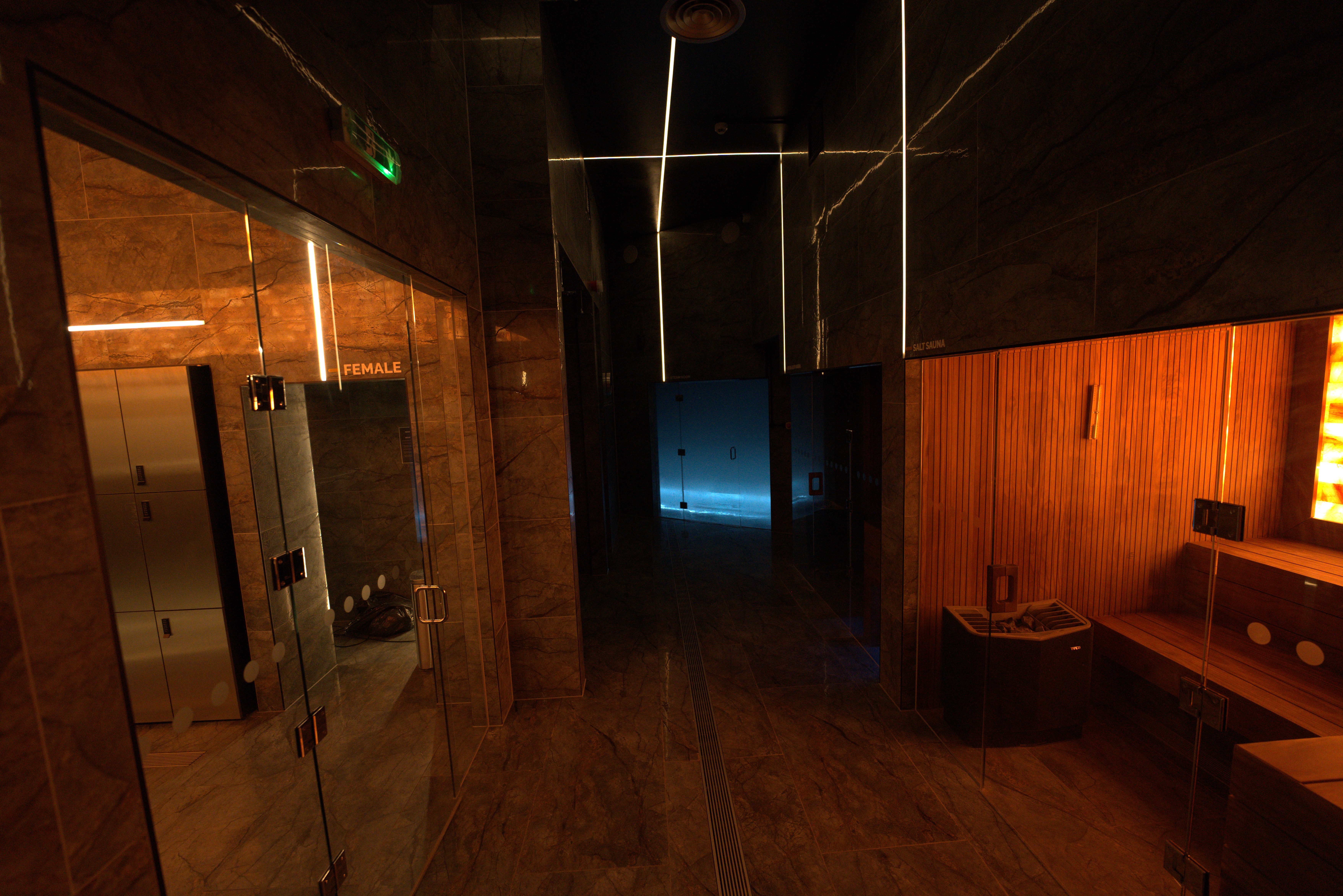Sauna and Steam Room
