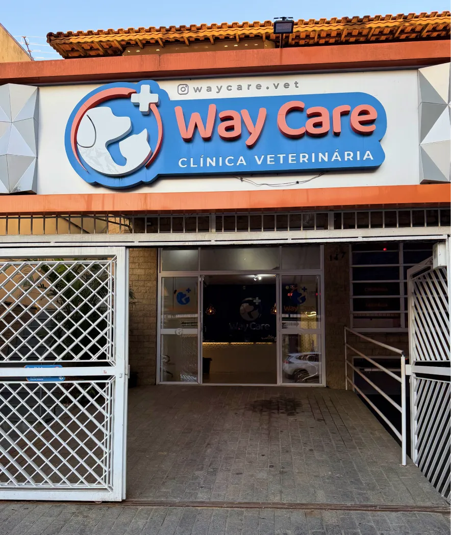 Estrutura WayCare