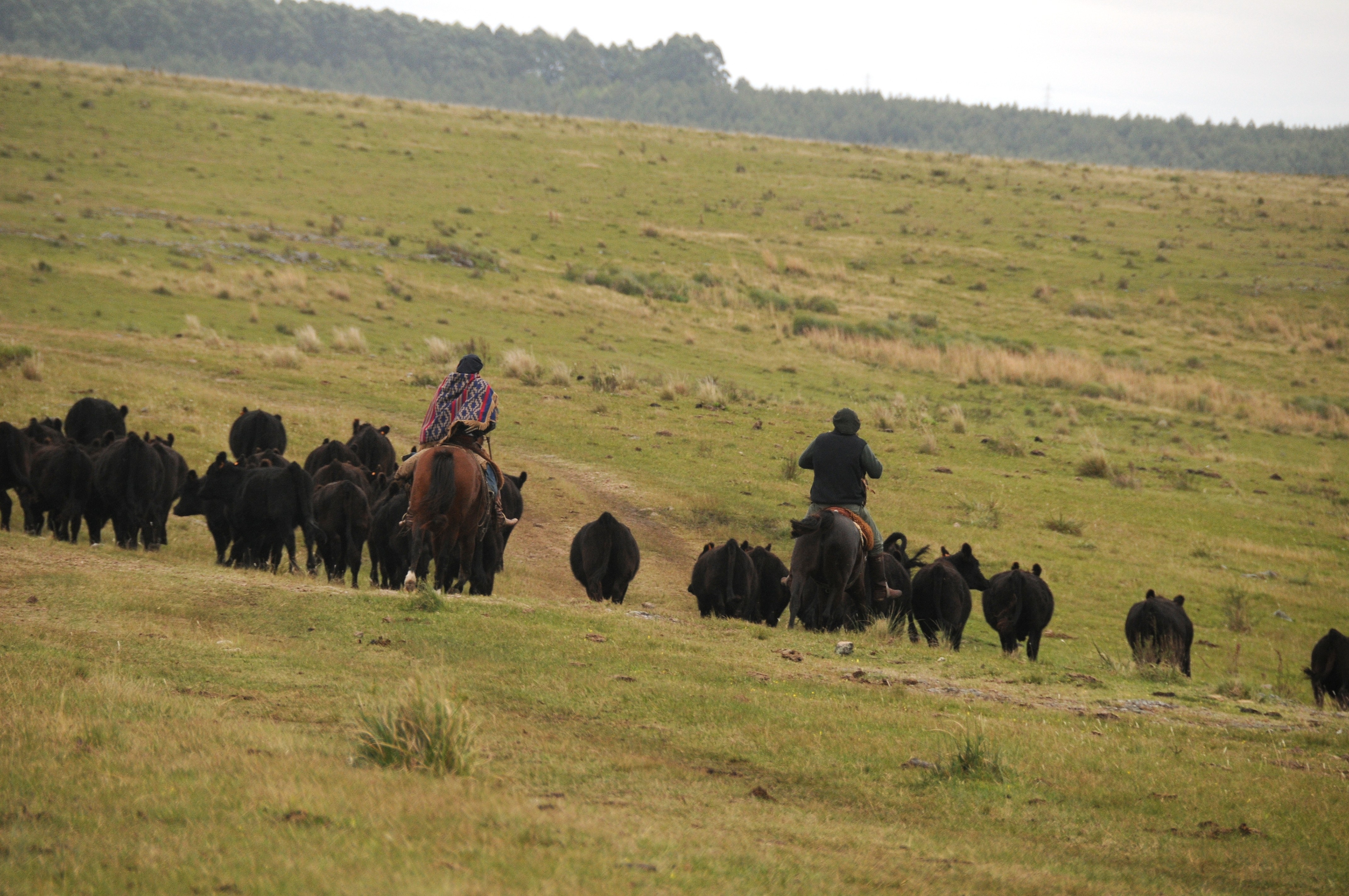 Empresa agropecuaria