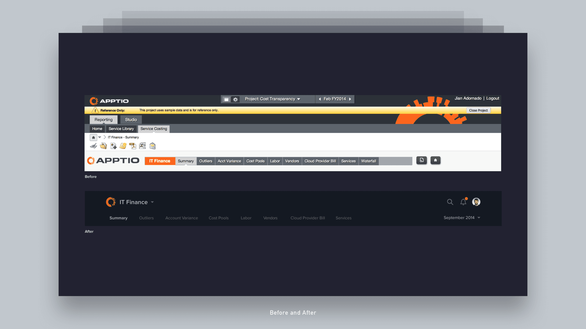 Apptio IBM Business Intelligence - Jian Adornado