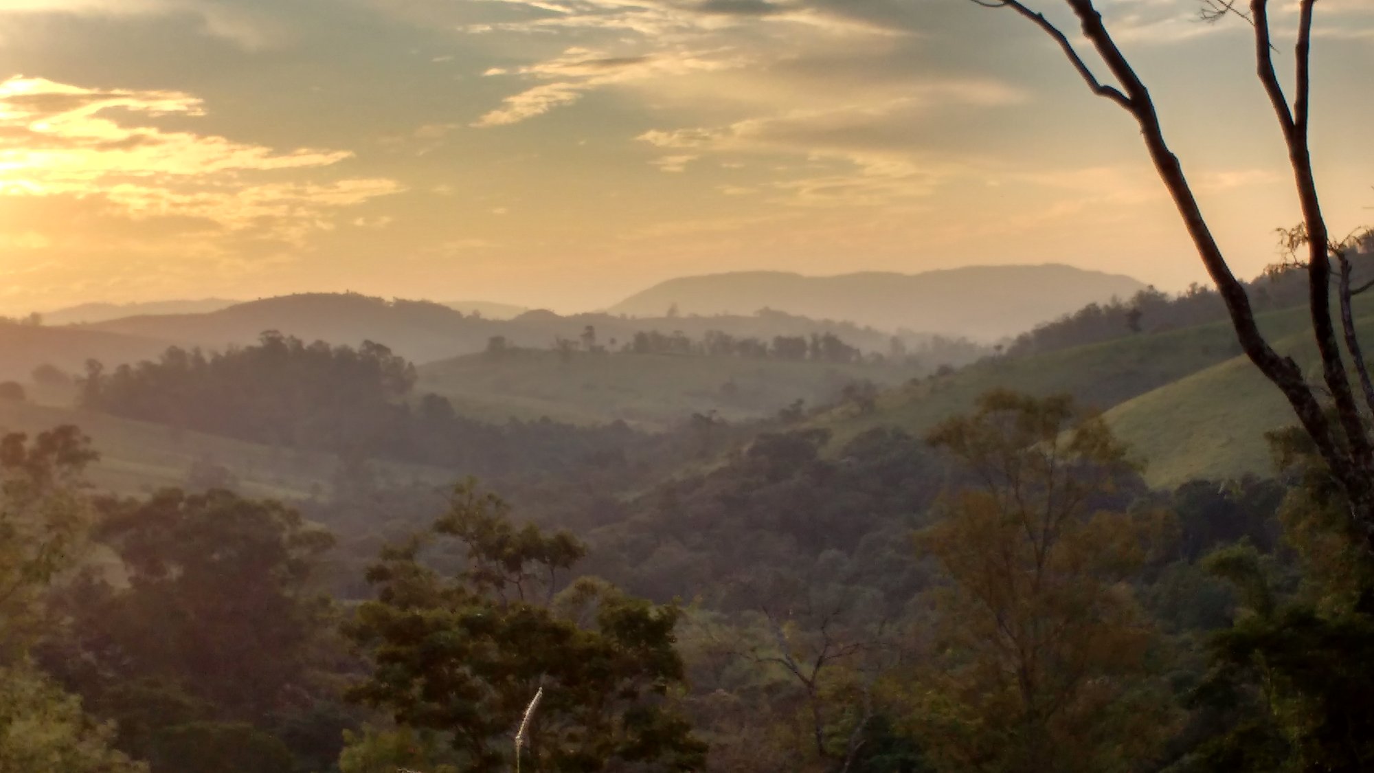 Pôr do sol sobre morros cobertos de mata, com névoa nos vales da Mata Atlântica