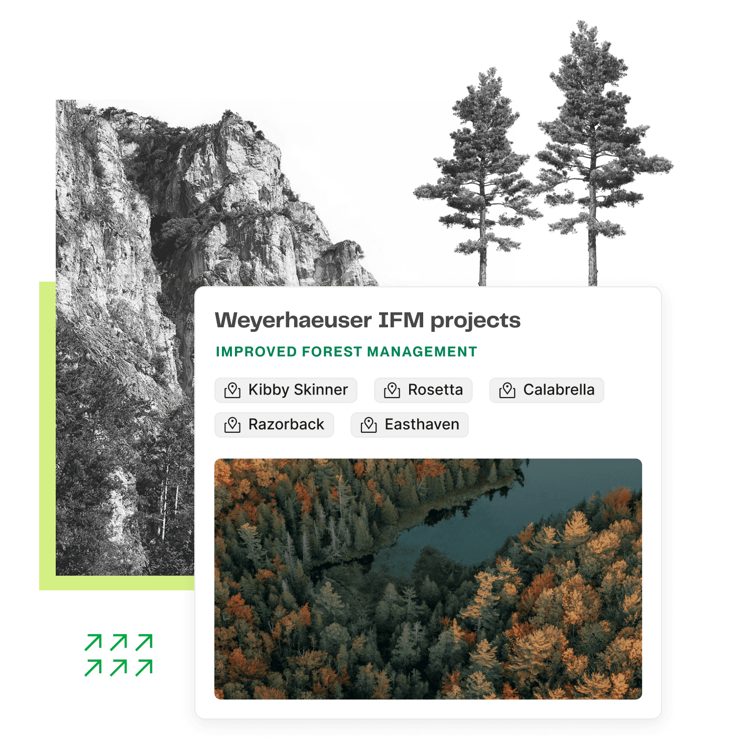 A collage-style illustration representing types of portfolio projects