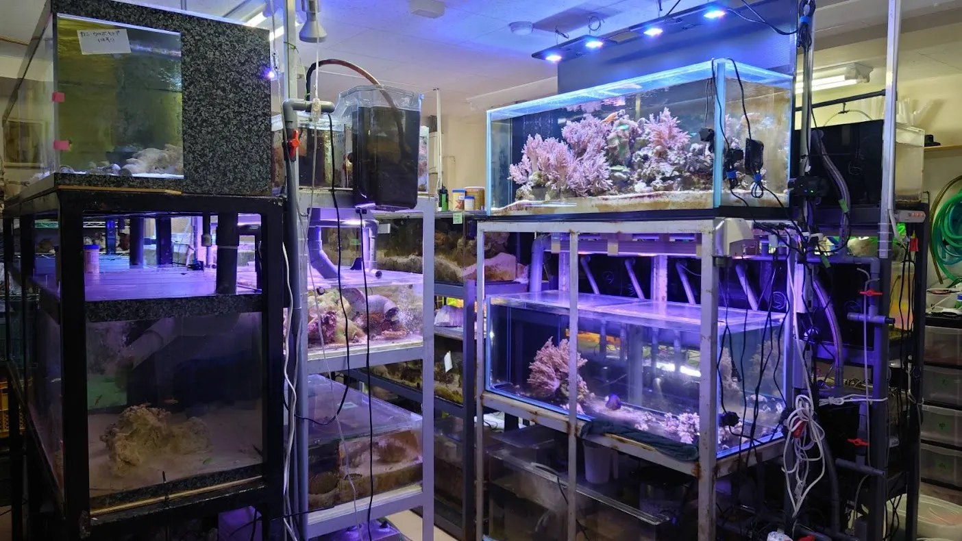 複数の水槽を管理・運用しているアクアリウム設備のバックヤード風景