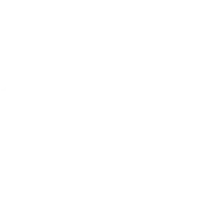 Takens Websolutions Logo