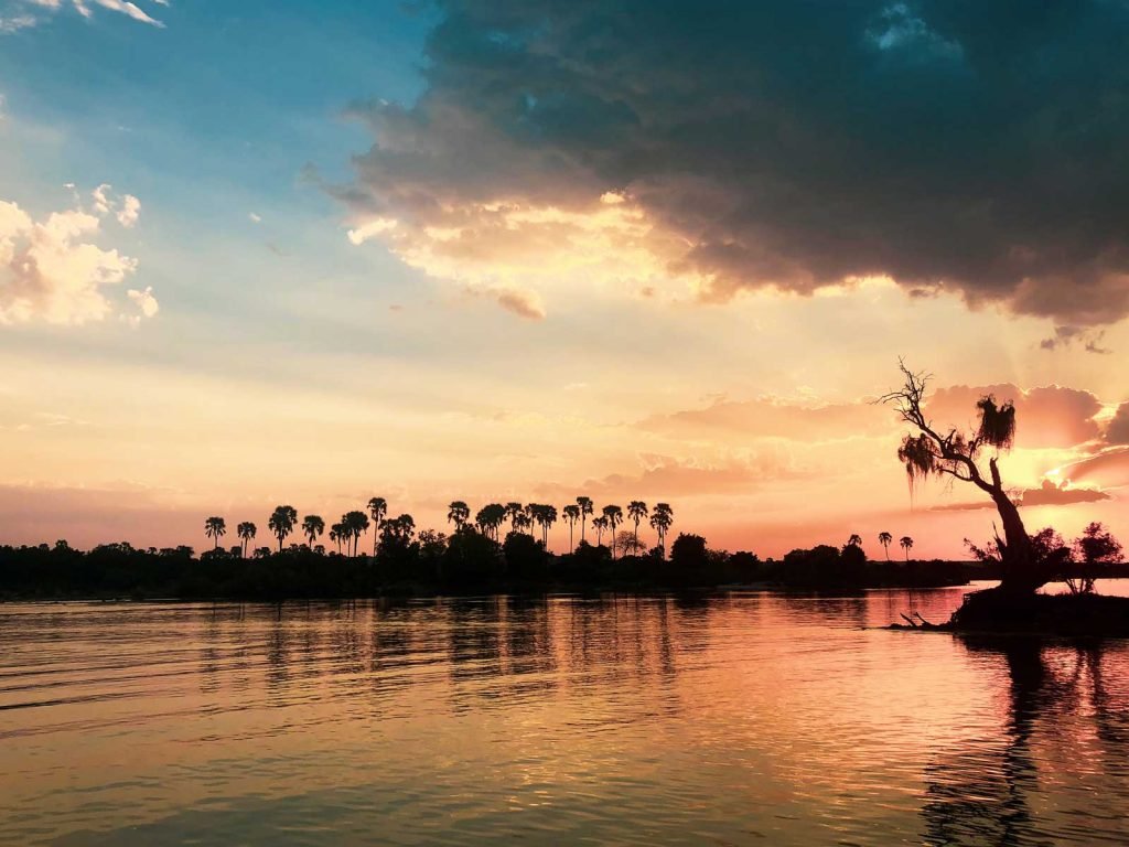 Sunset over the Zambezi River with silhouetted palm trees