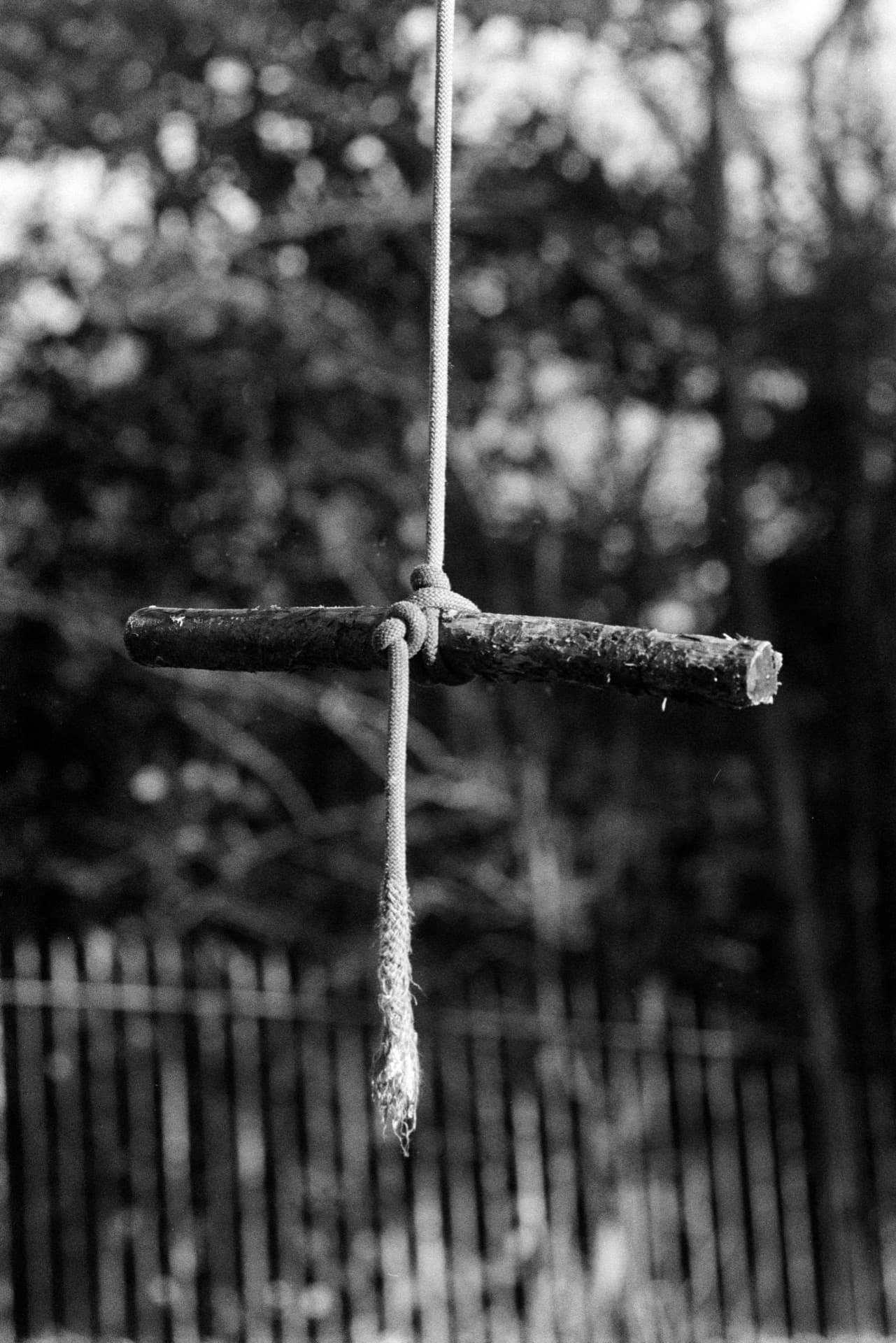 Makeshift rope swing with horizontal branch tied at center, frayed rope ends hanging down, wooden fence and bokeh foliage in soft-focused background