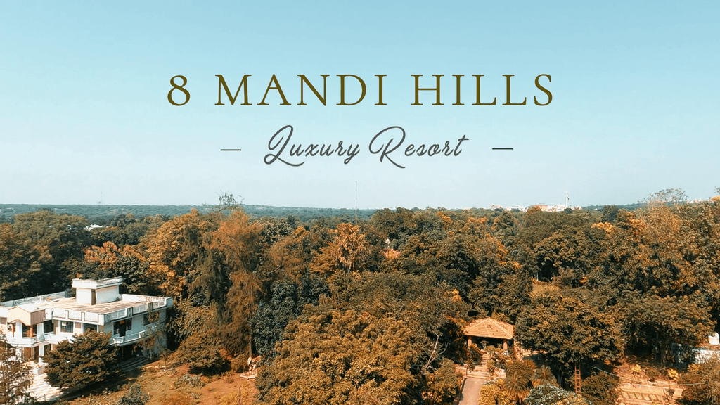 Album Photo Real Mehedi Free Framer Template Photography