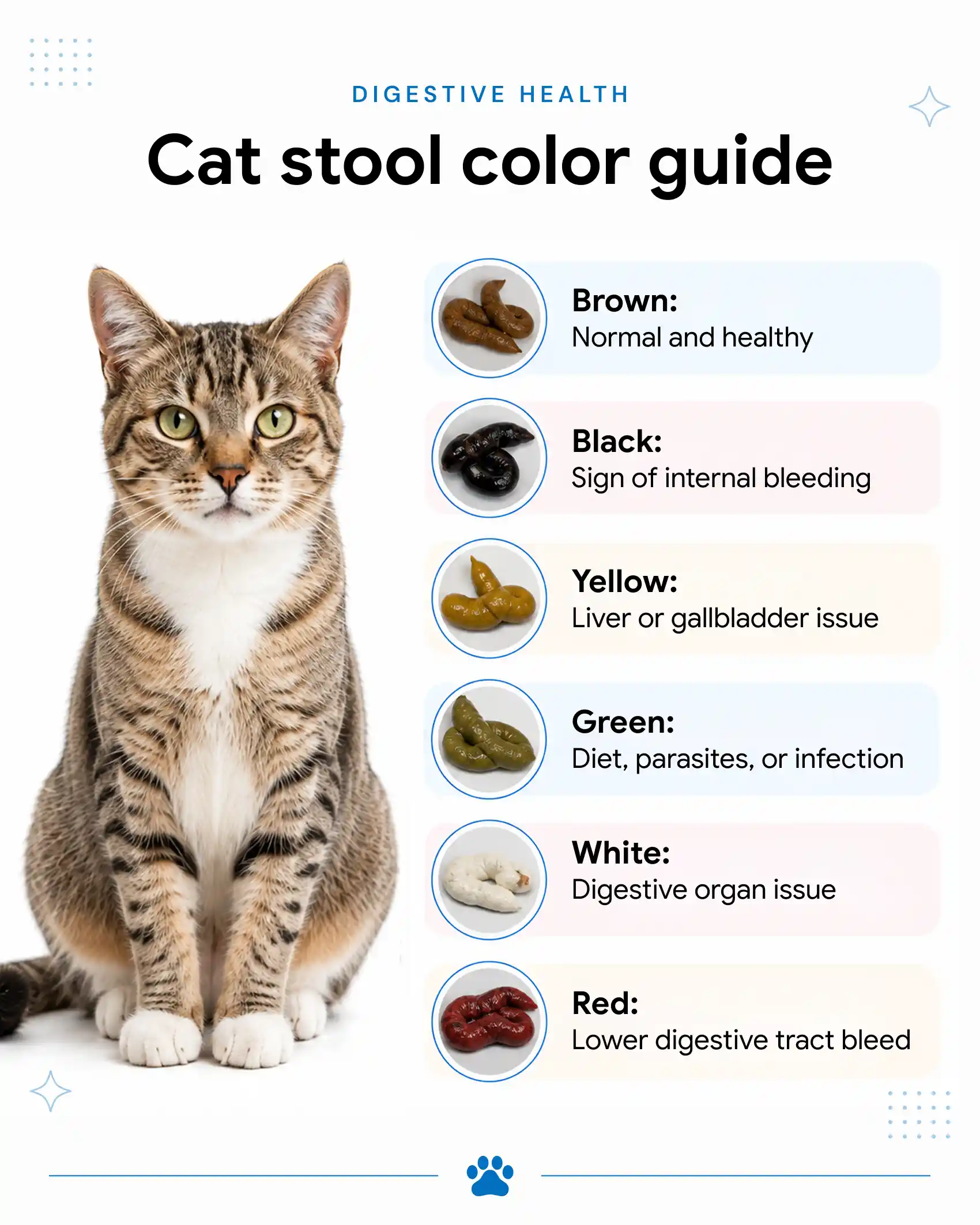 An infographic showing the different colors of cat stool and their meanings.