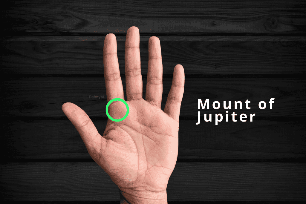 Mount of Jupiter in Palm Reading - Palmyst