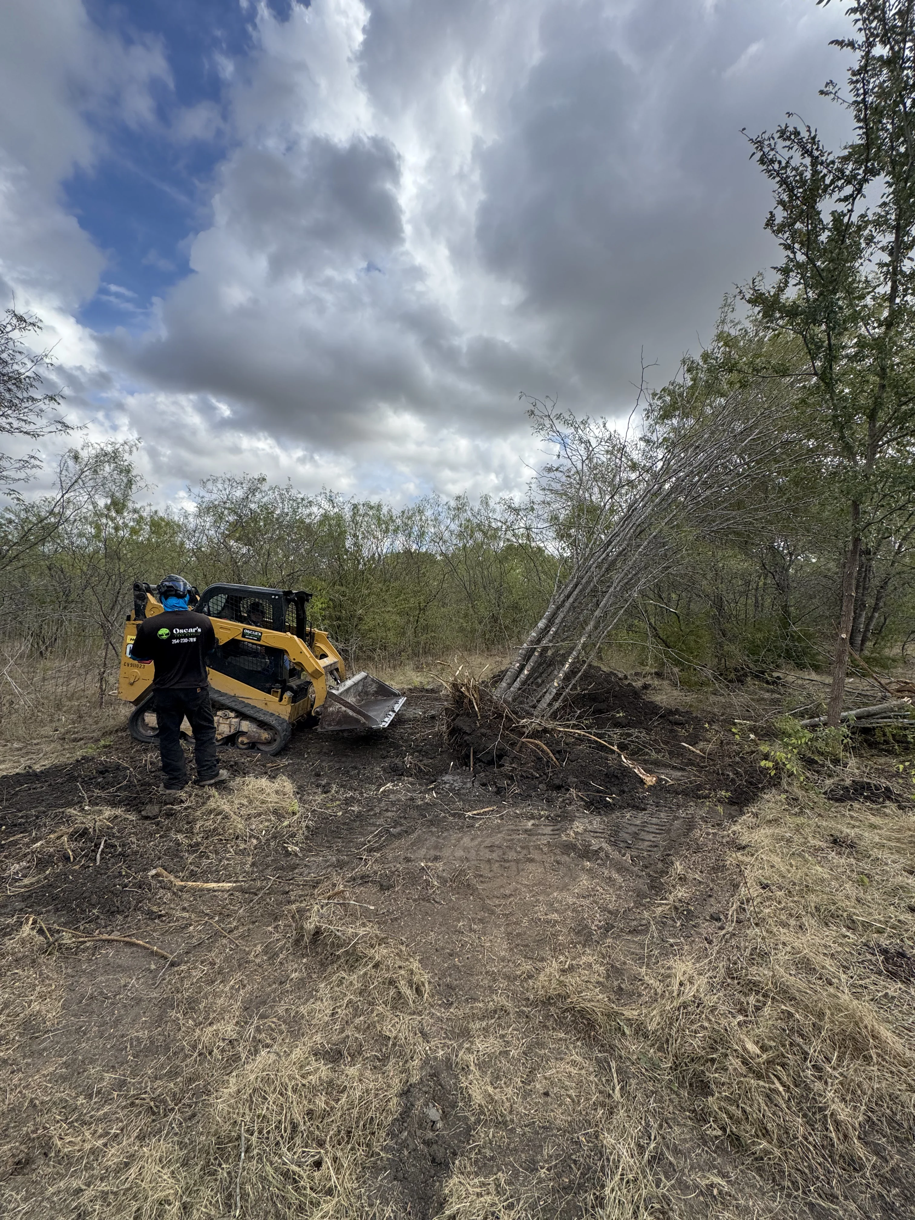 heavy machine clearing small trees