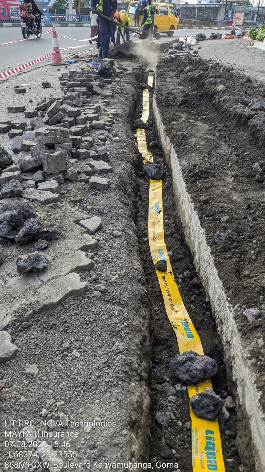 Close-up of a tree stump showing growth rings and a textured brown wood surface.