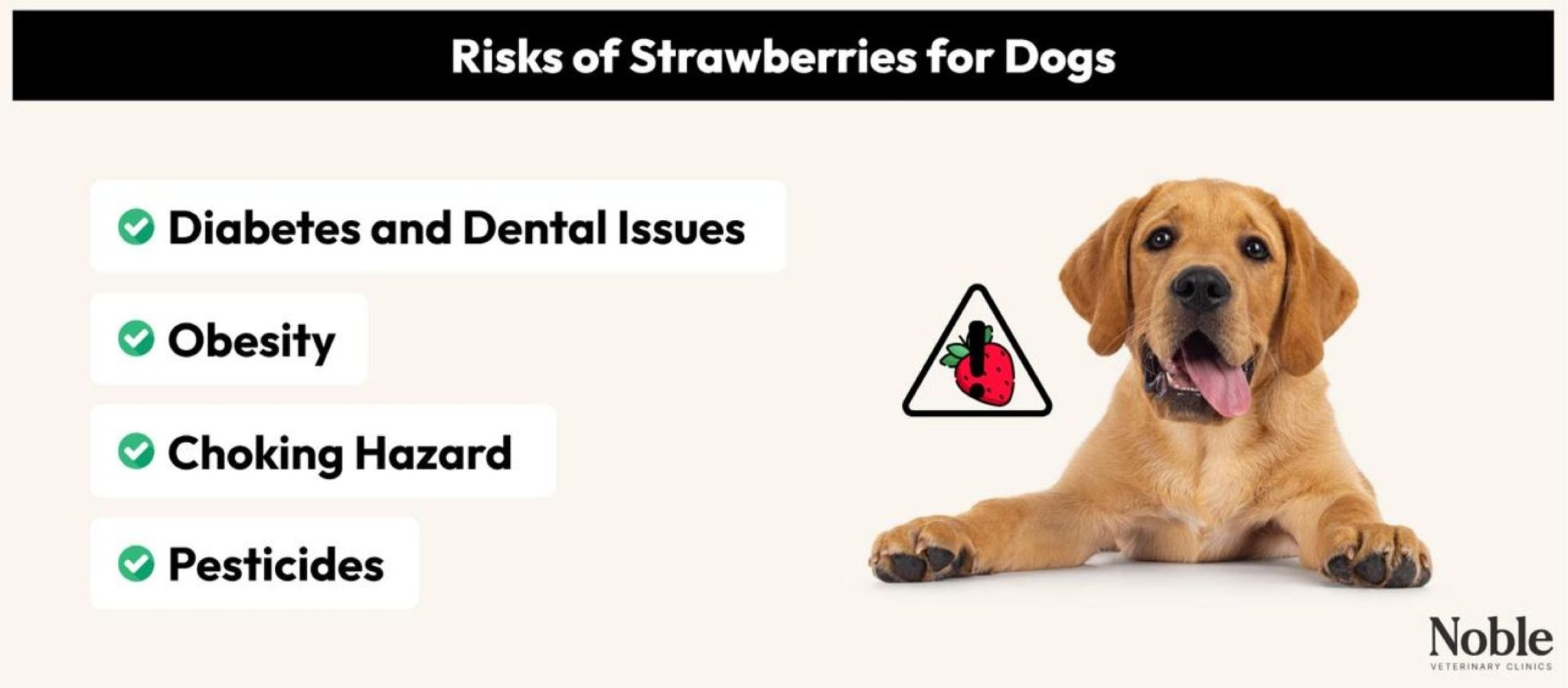 An infographic showing the risks of strawberries for dogs.
