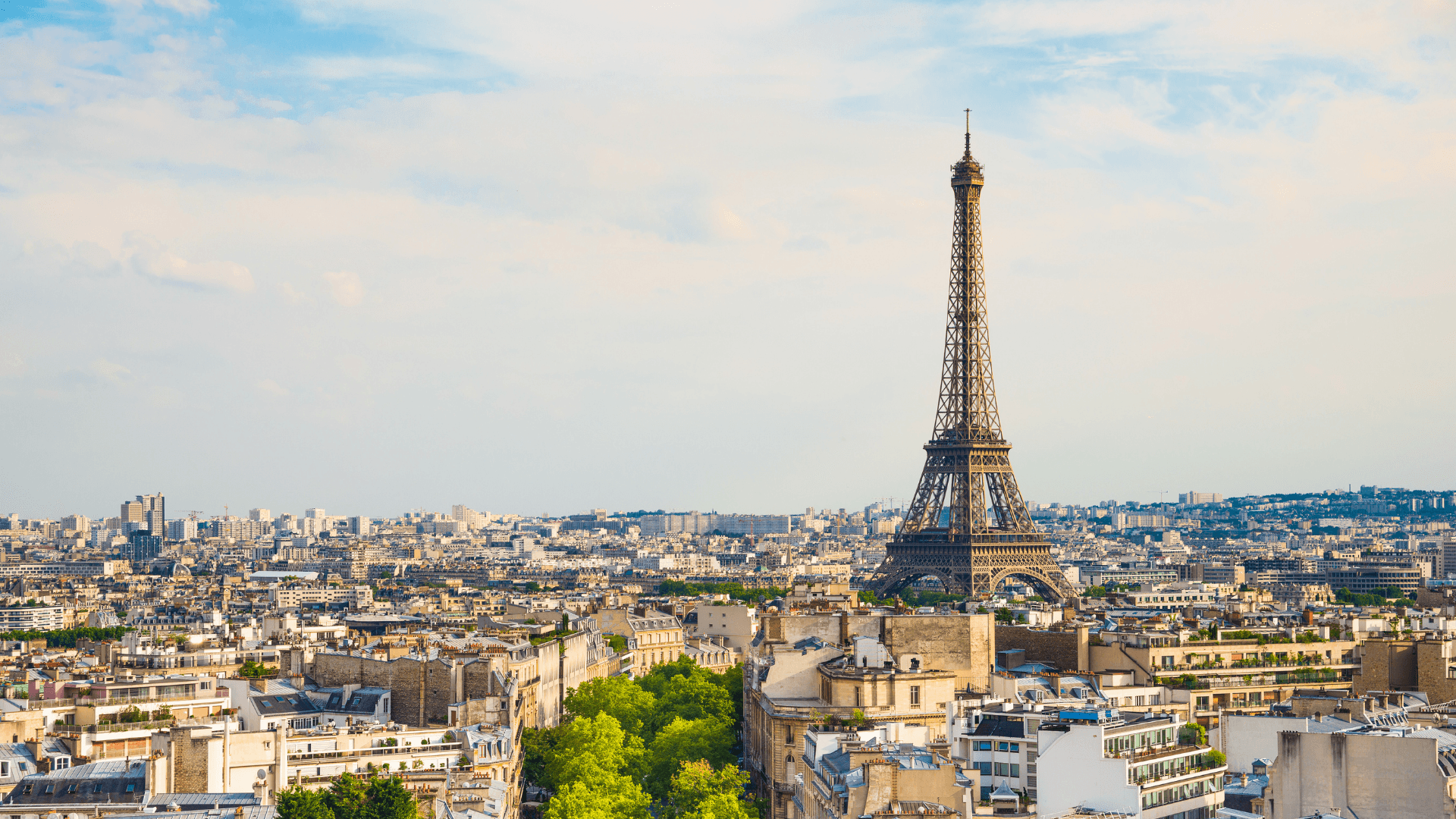 Soft pink flower with delicate petals in motion blur against a white background