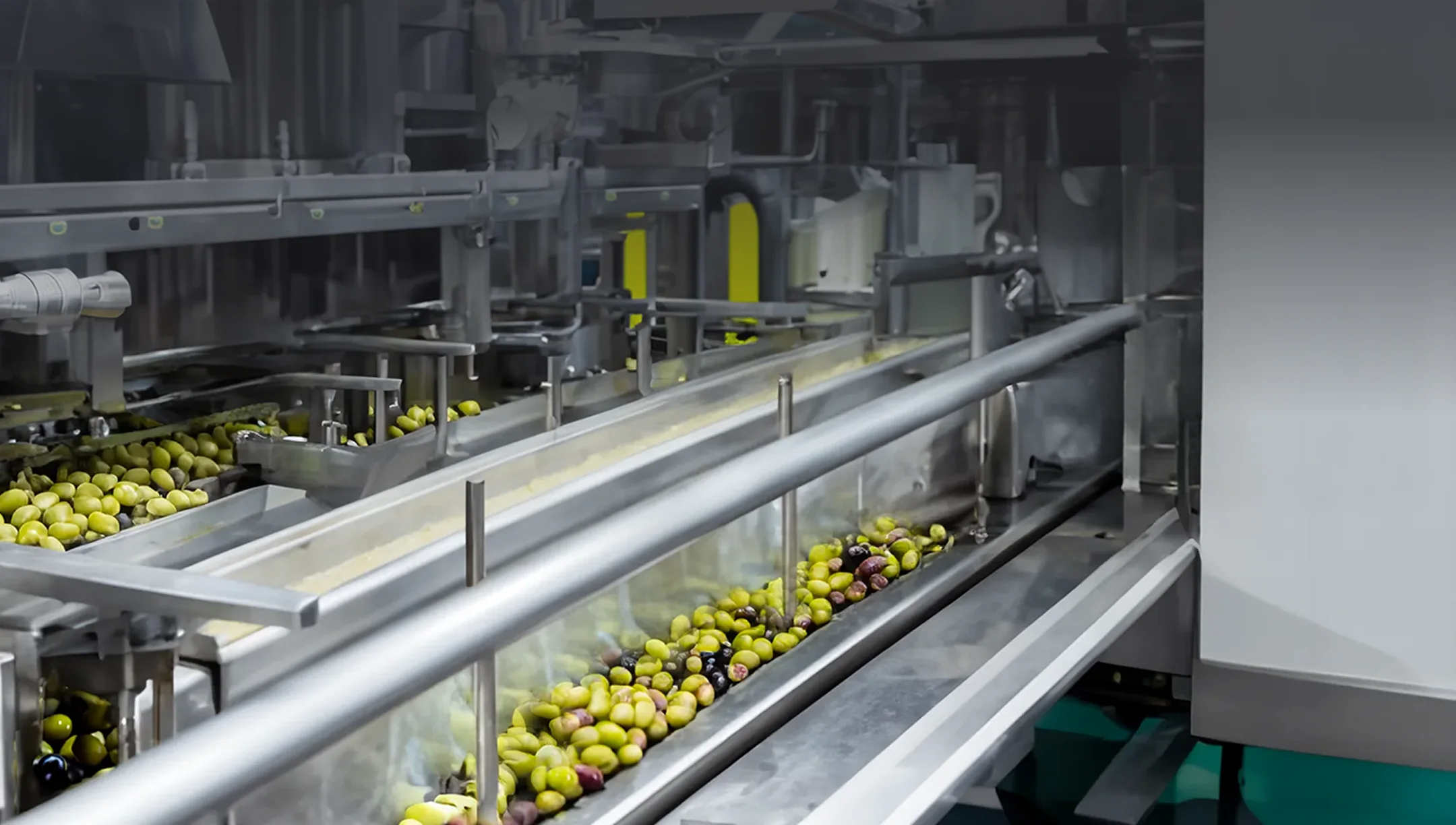 Olive in un sistema meccanico