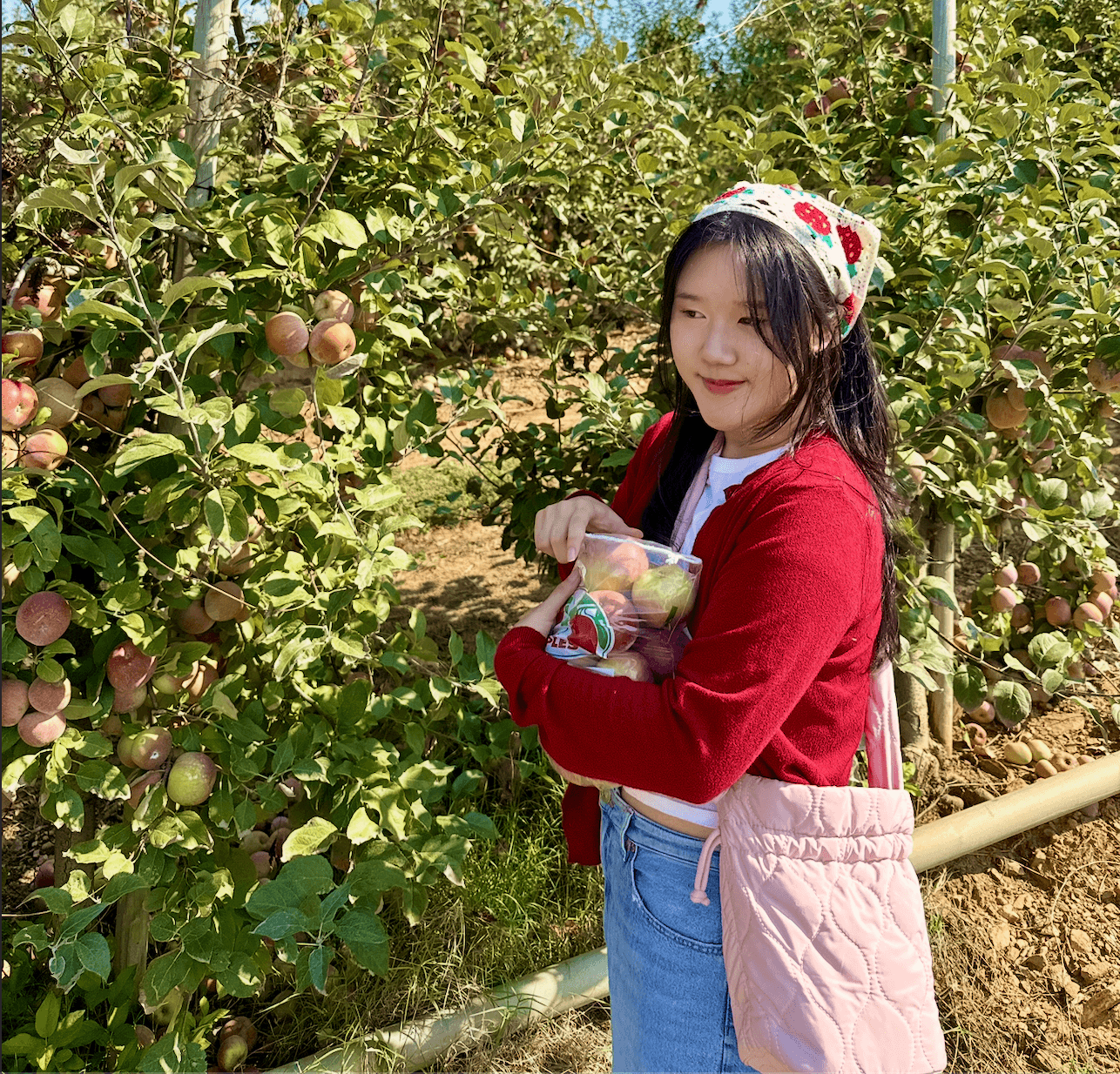man in black and white striped long sleeve shirt taking photo of man in black shirt