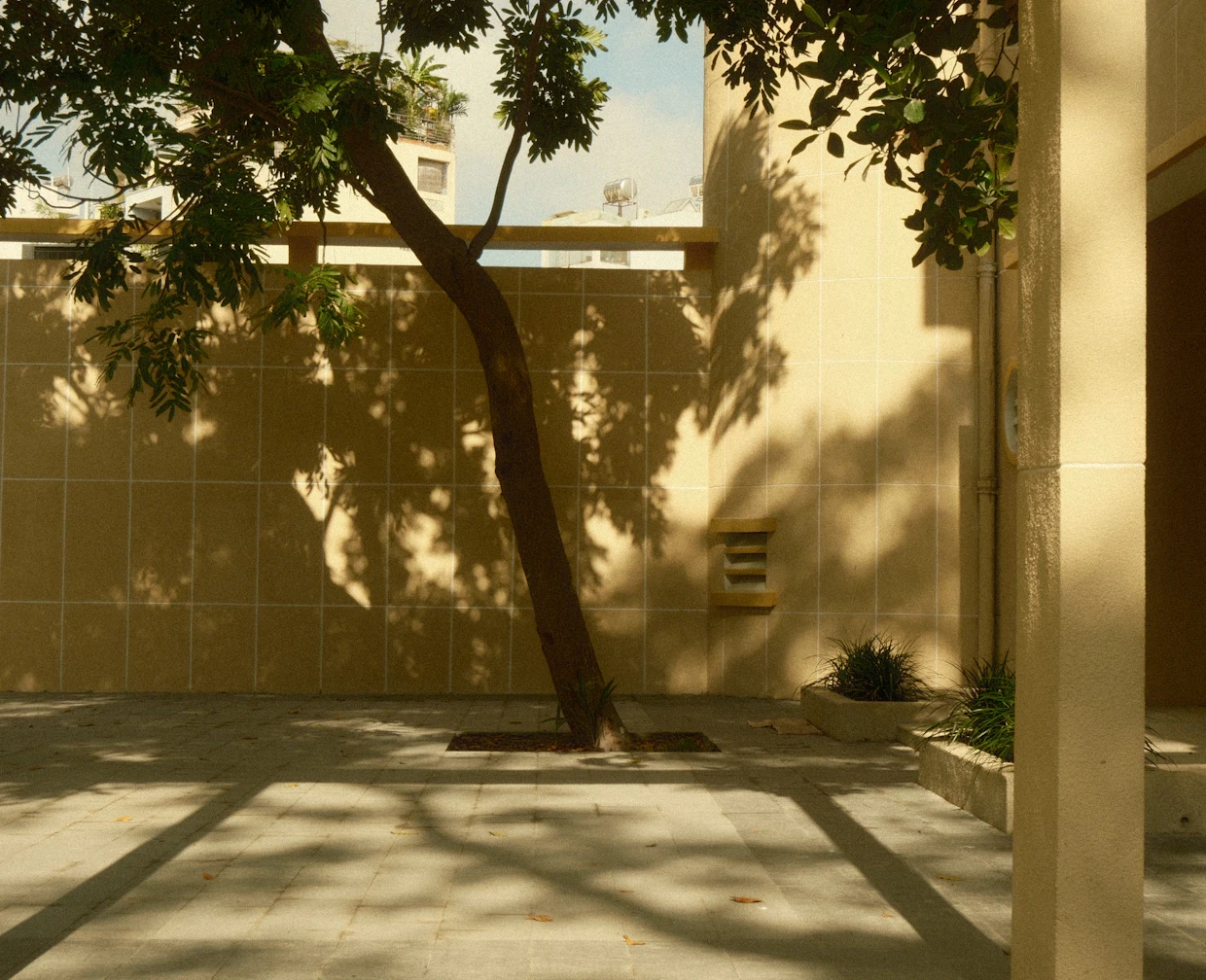 var(--variable-WAfGKj44x)