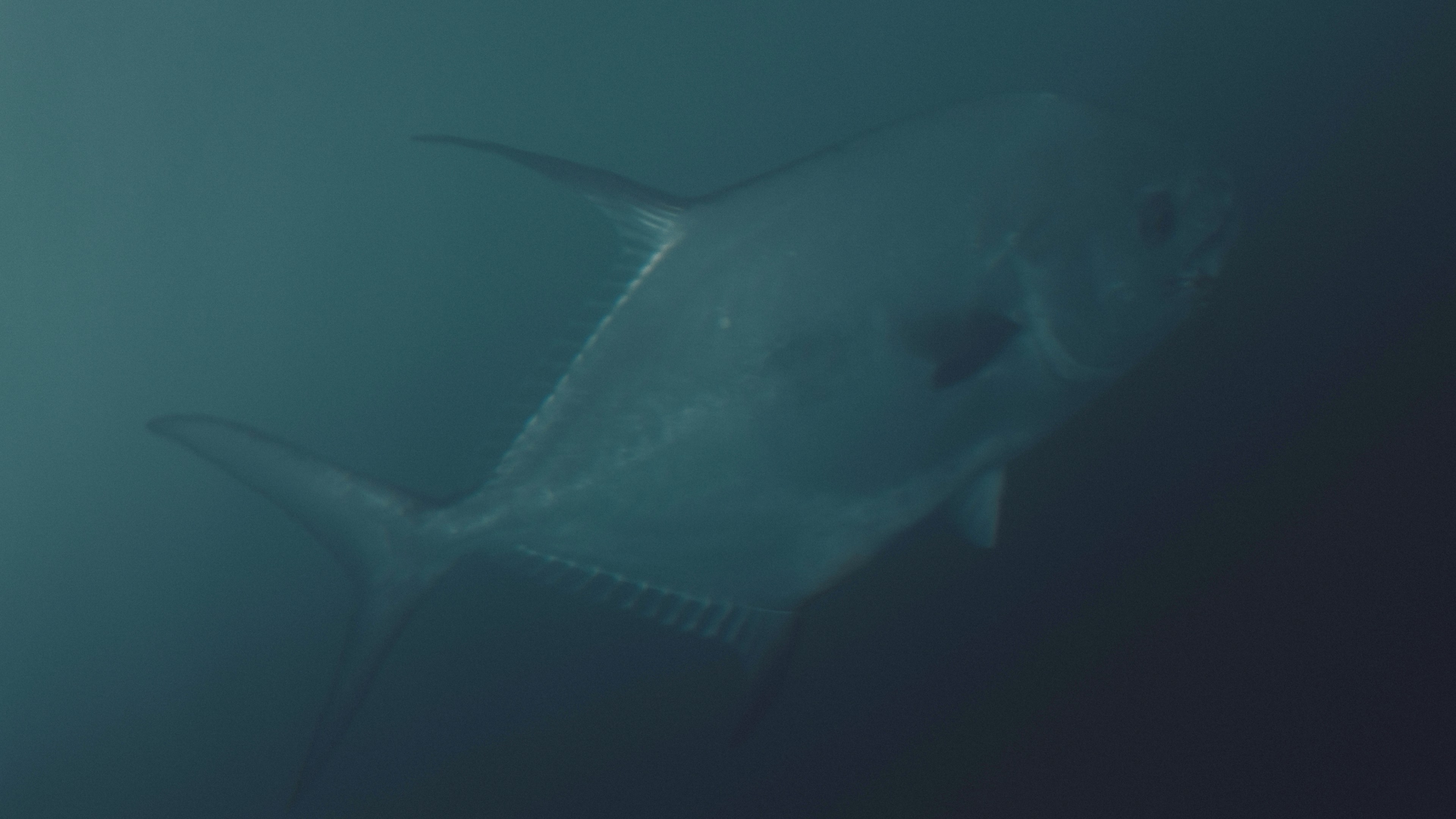 Angler holding a bent fly fishing rod during golder hour