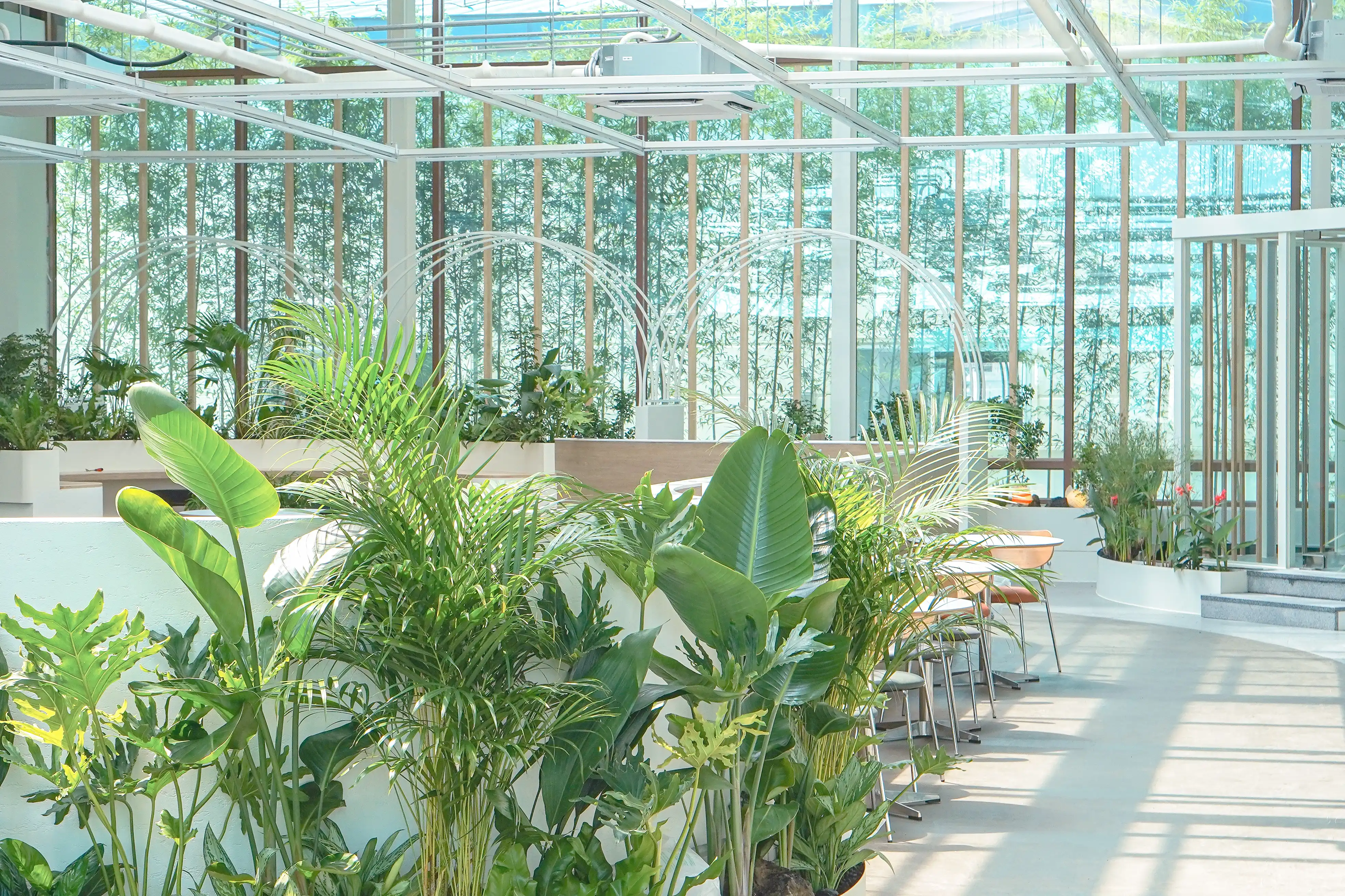 에코피플의 카페 실내조경 프로젝트