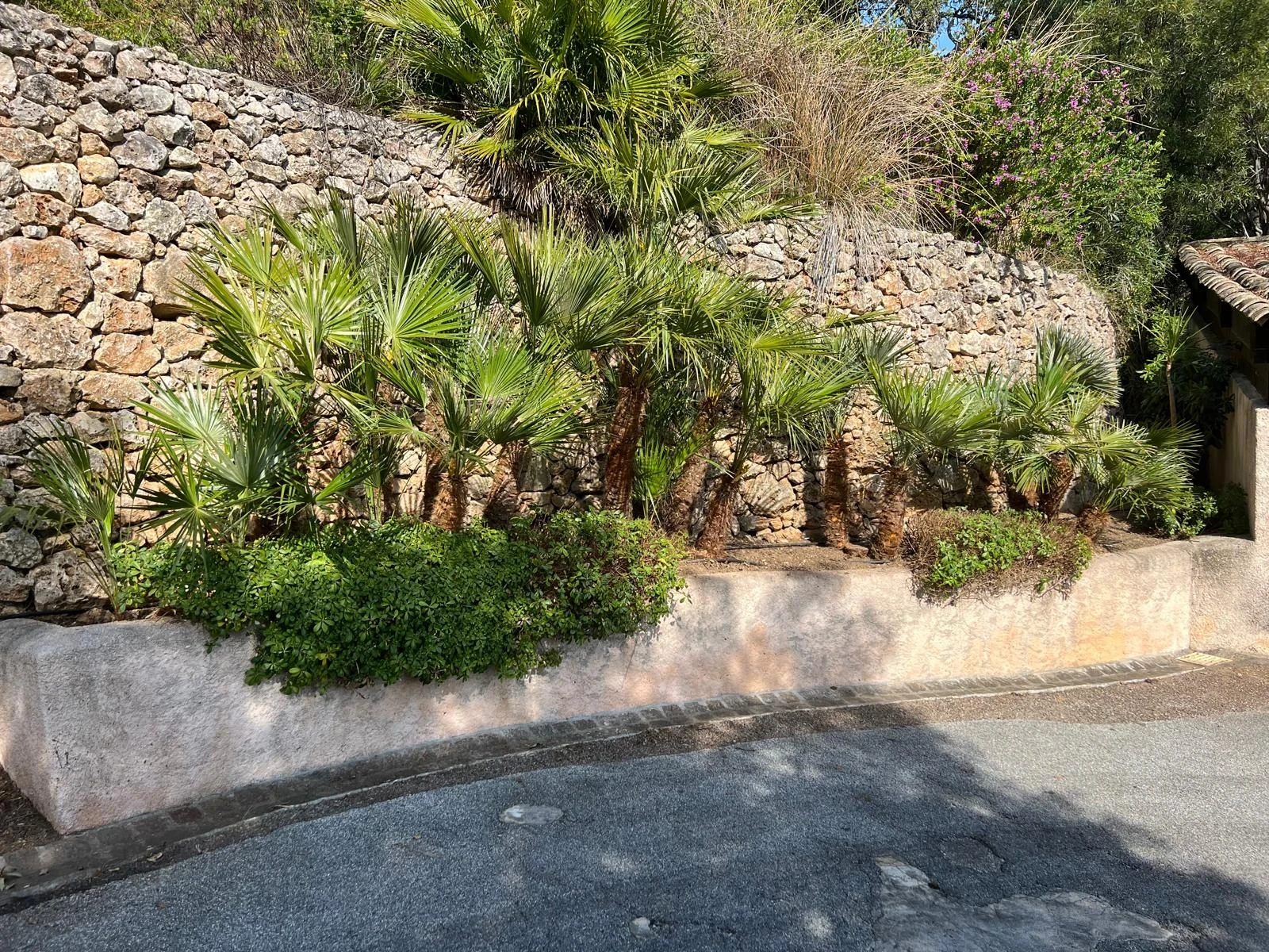 Outdoor Image