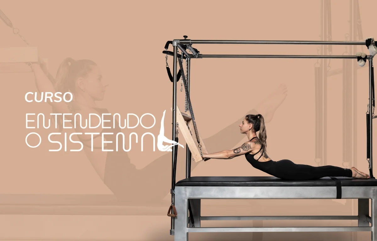 entendendo-o-sistema