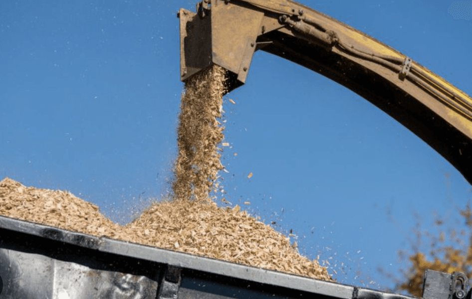 septic lines set in place