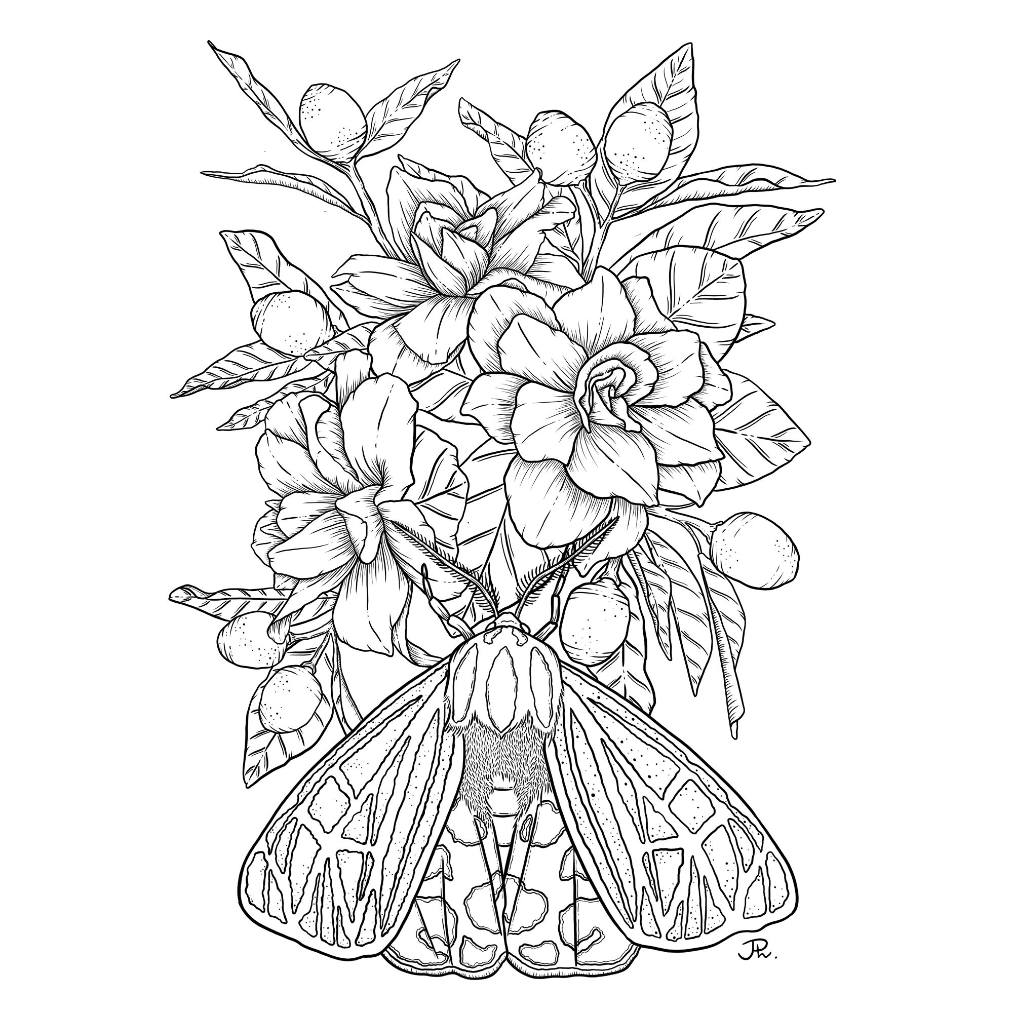 The image featured at the top of the about us page #1