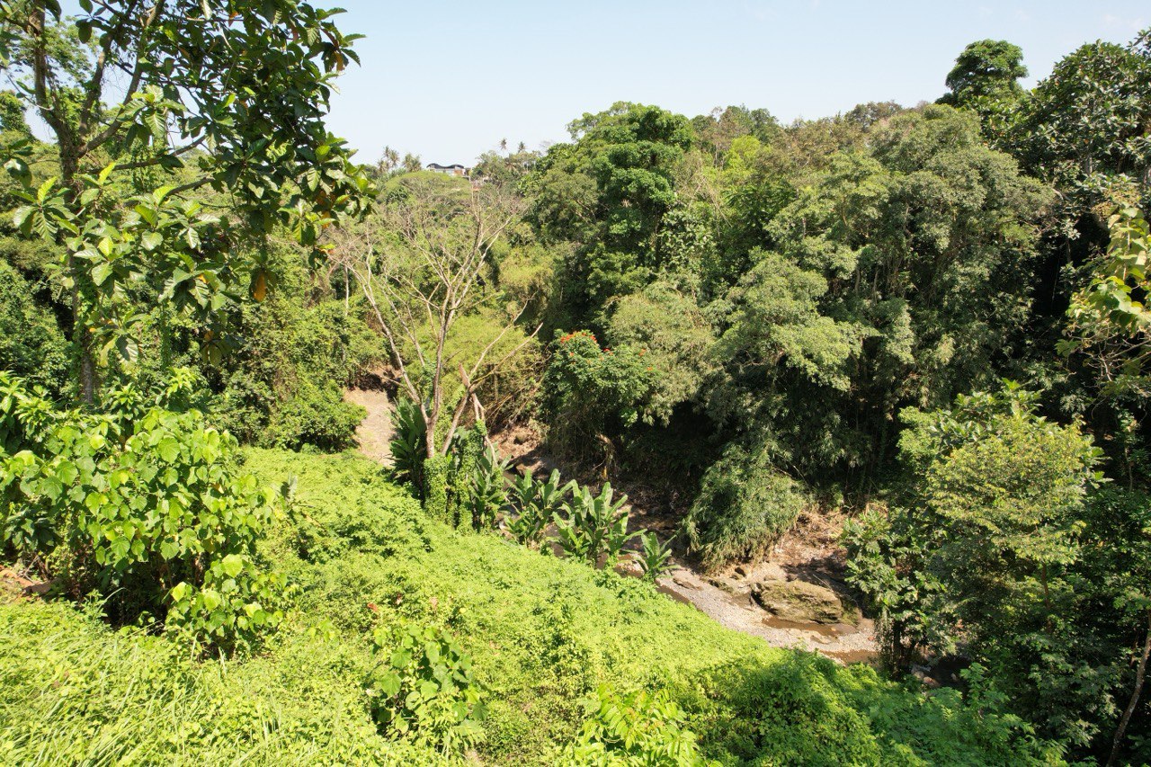 3700 m² Freehold land plot with canyon in Tabanan, Kaba Kaba