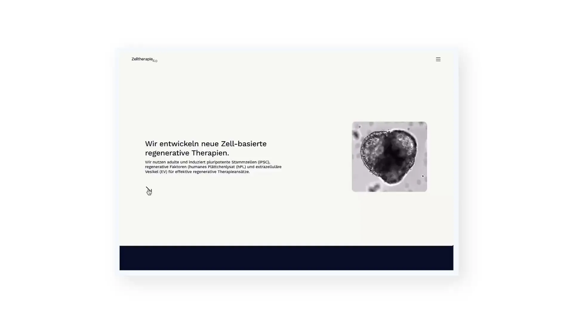 Ein Ausschnitt der Homepage von celltherapy 4.o.