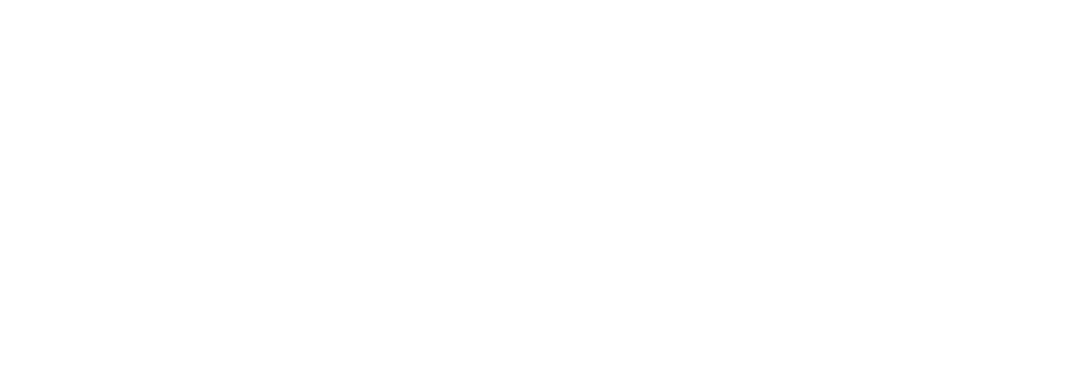 martindale insurance services logo