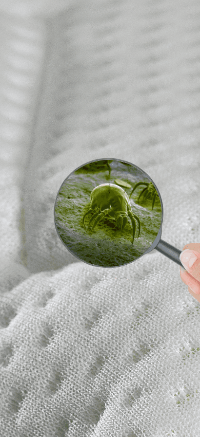 Placeholder for hero image showcasing your main product or service