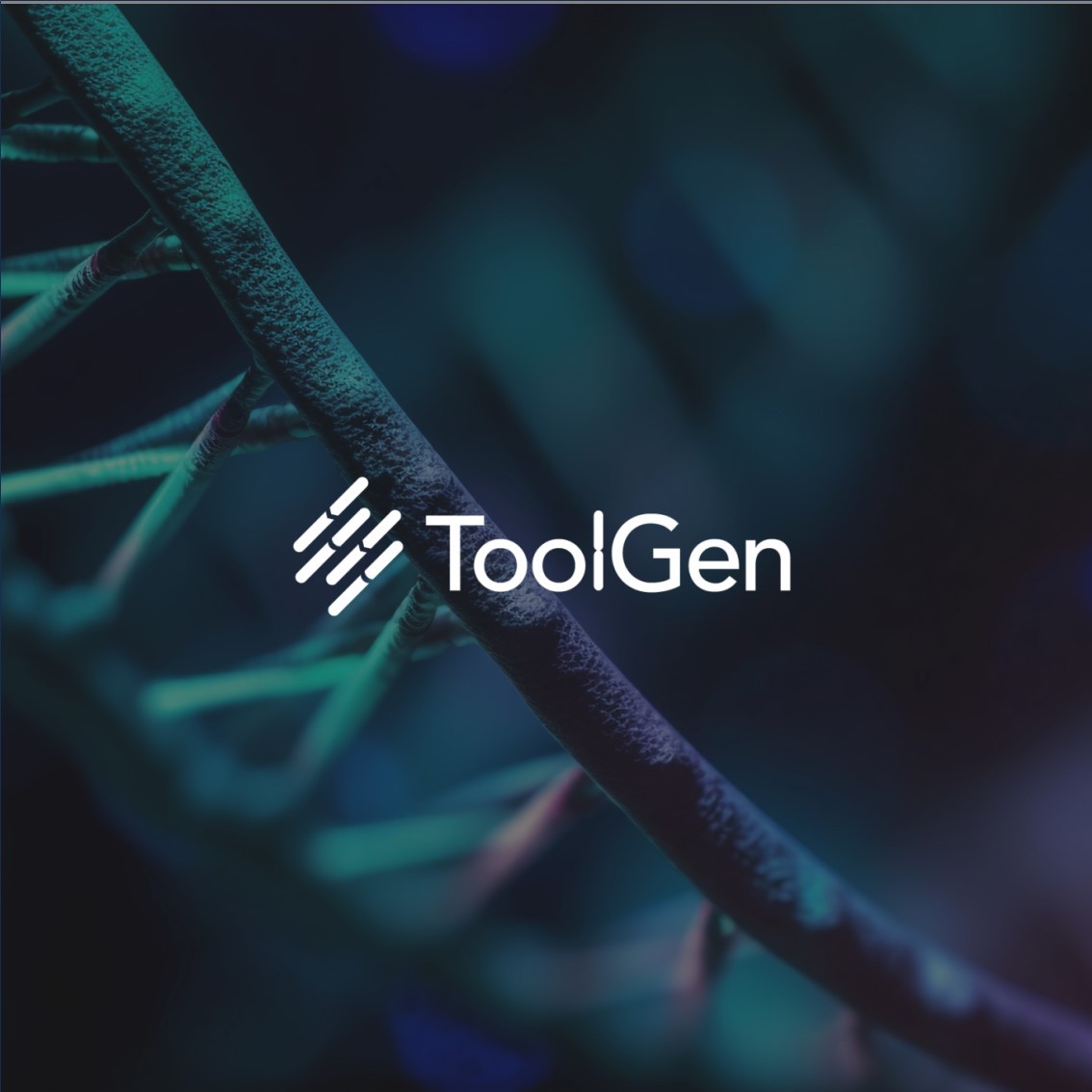 VerveDent Framer Thumbnail