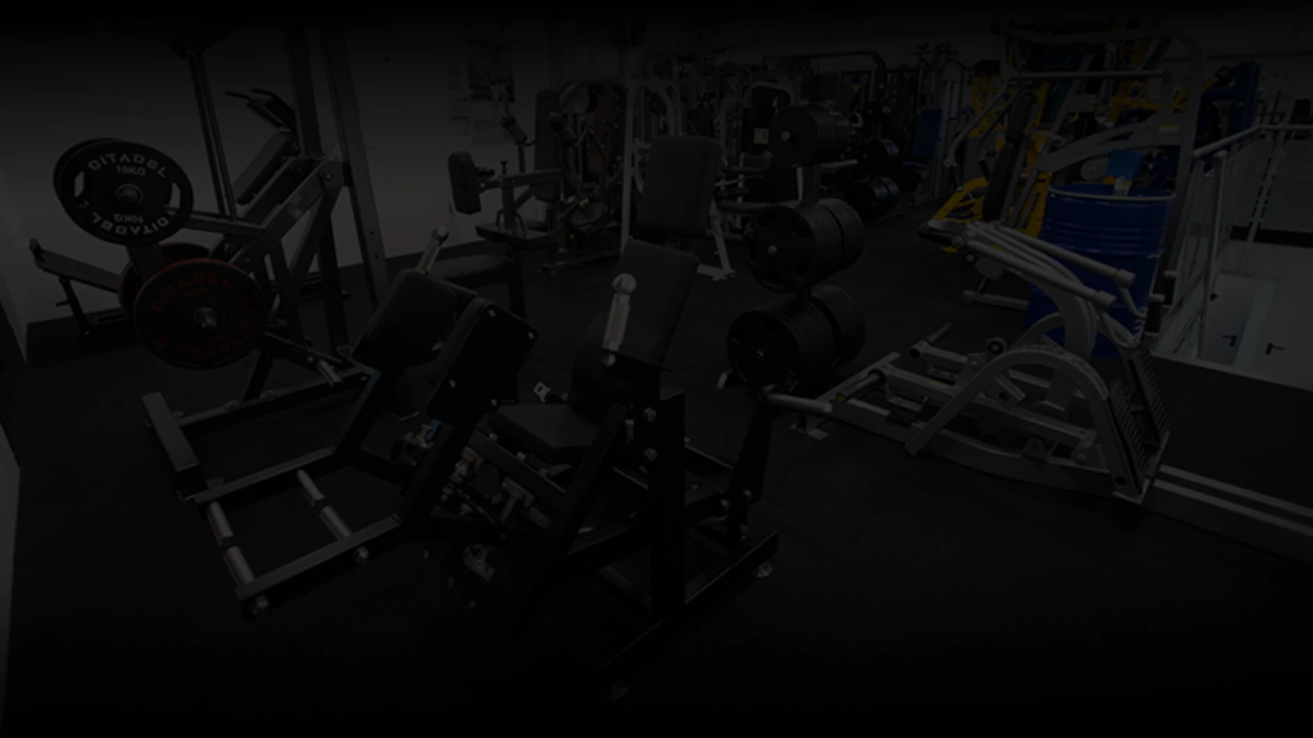 Gluteator in der Totalen