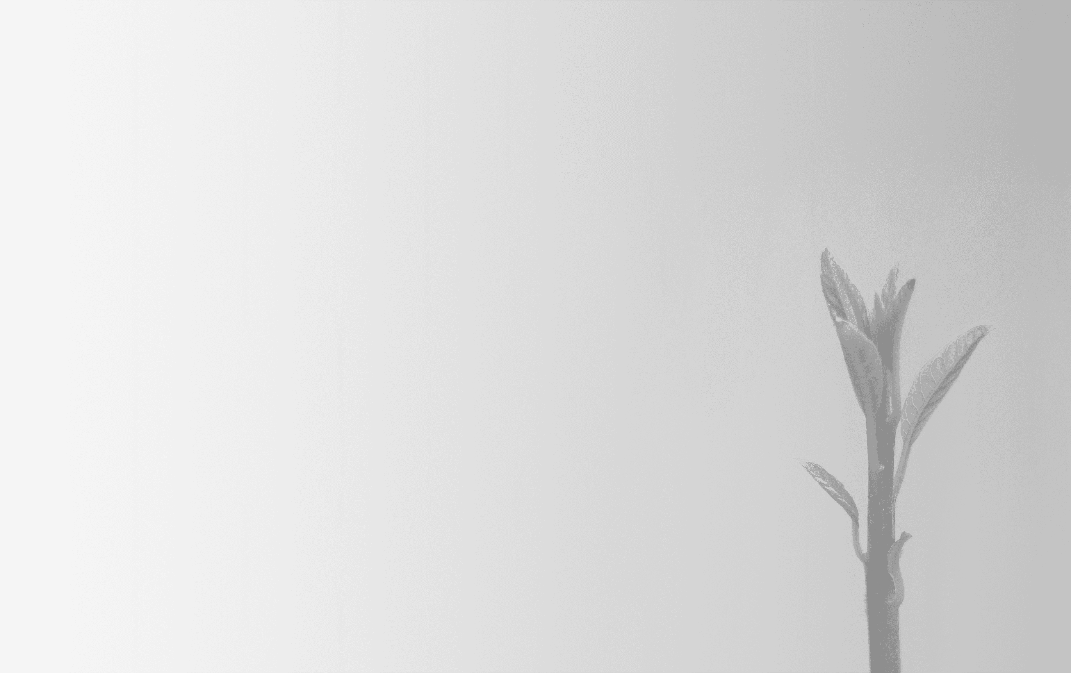 Performance Marketing Agentur für zielgerichtete Werbung und messbares, skalierbares Wachstum