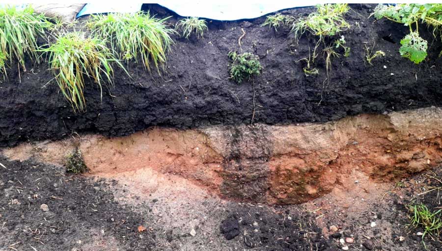 soil profile