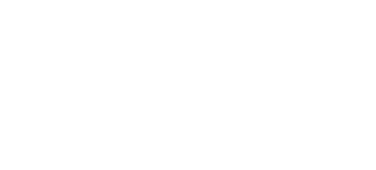 Partner logo 8