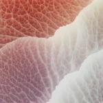 Early-stage cancers icon: abstract medical illustration representing early cancer detection