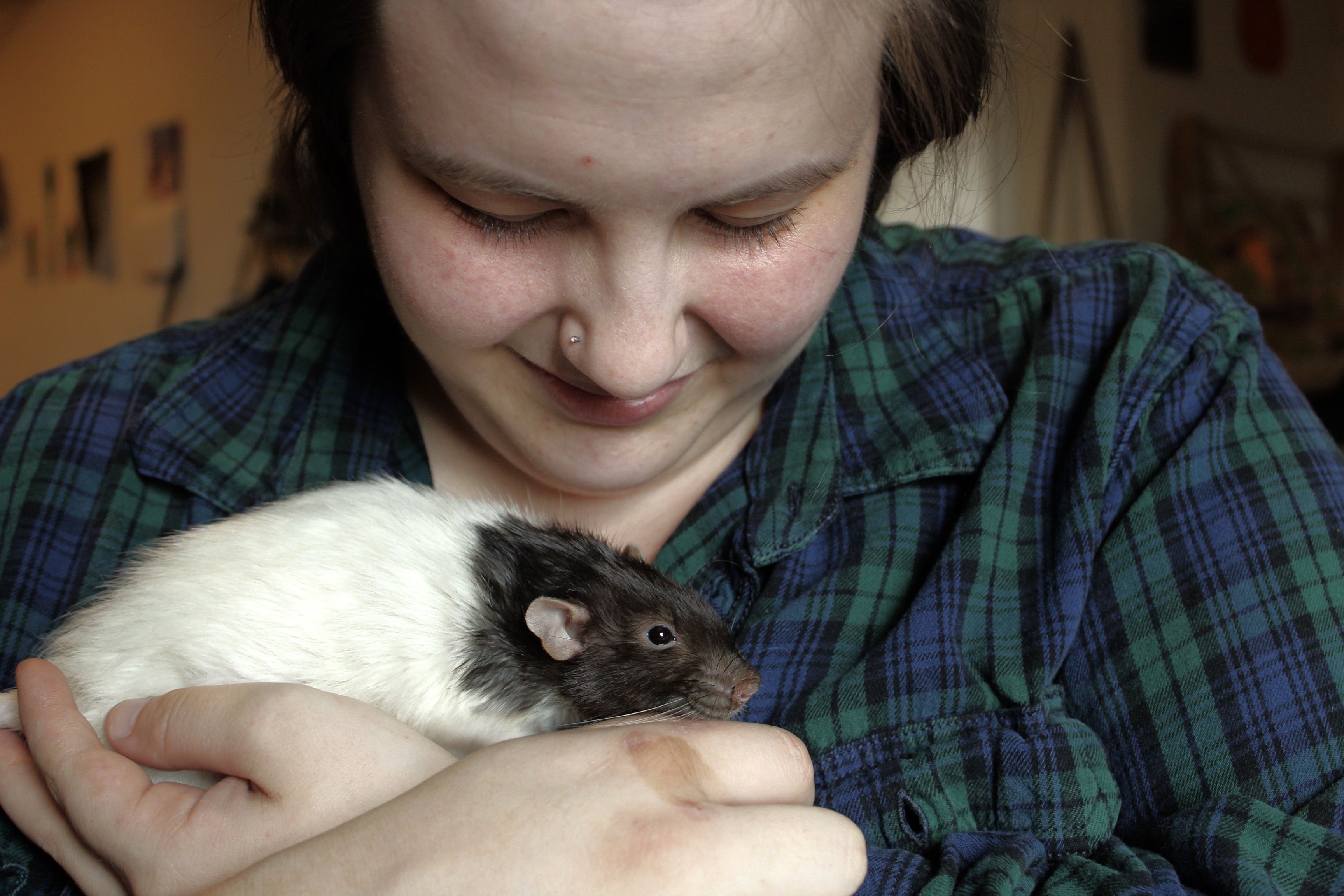 This is LOAF's mascot, Sesame