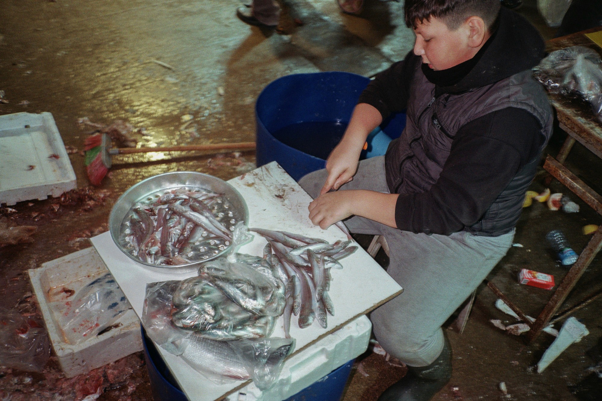 A person is sitting on a stool in a bustling fish market, skillfully cleaning and preparing a variety of fresh fish on a white table, surrounded by containers filled with ice and more fish, capturing the essence of seafood preparation.