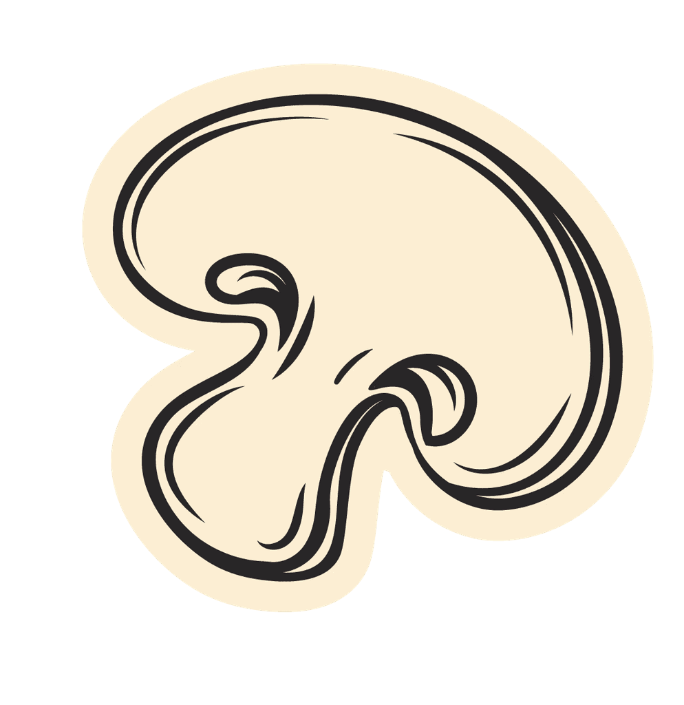 mushroom_4