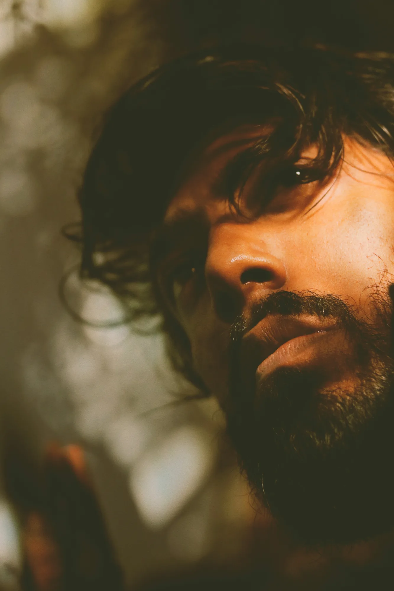 Close-up portrait in warm sunlight