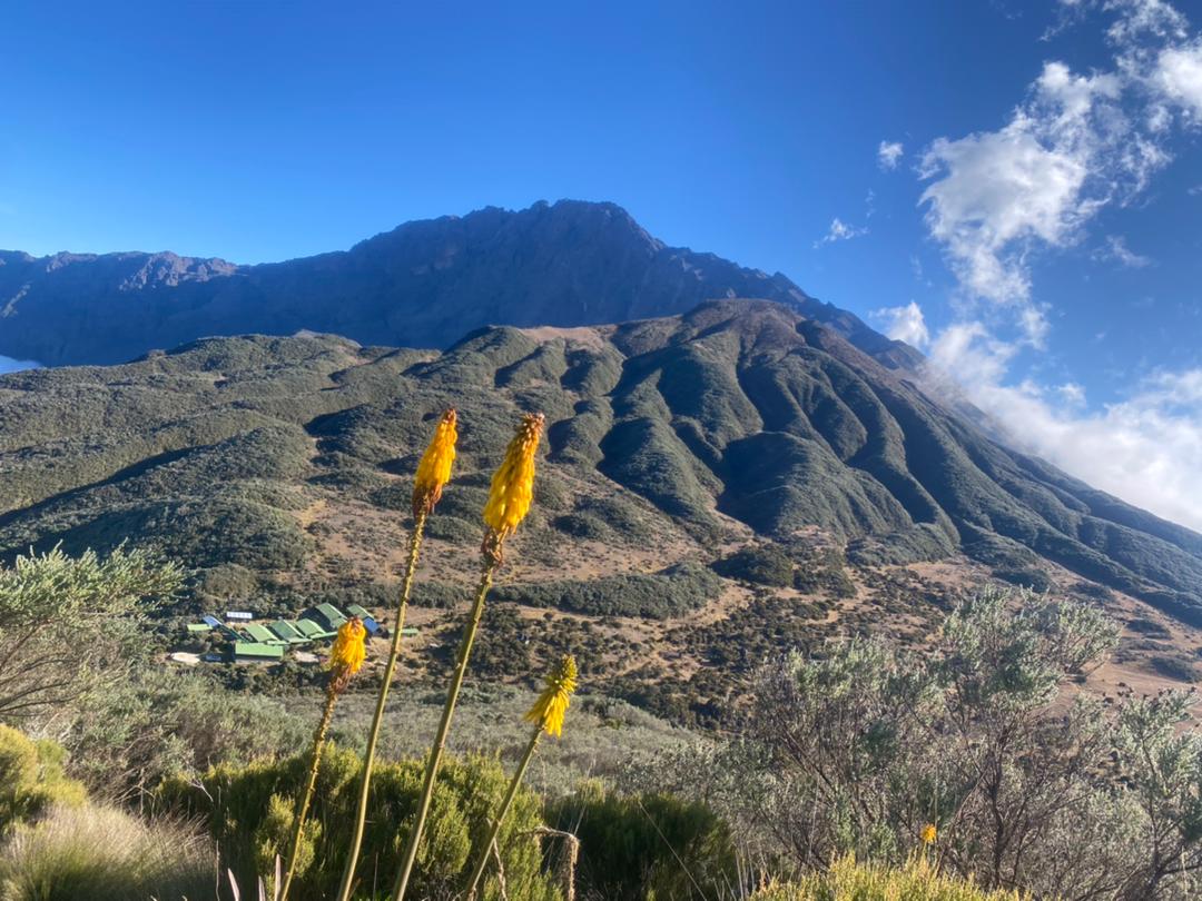 Majestic sandstone formations in AlUla glowing under the afternoon sun, showcasing the desert’s timeless beauty.