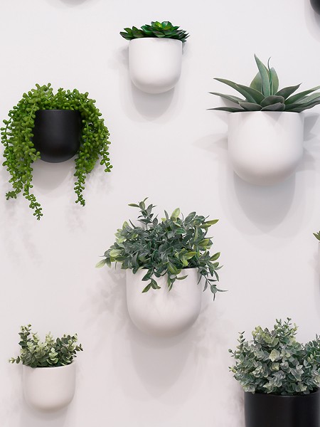 Wall With Plant Pots